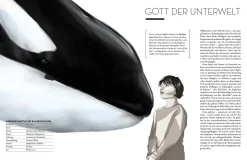 Orca