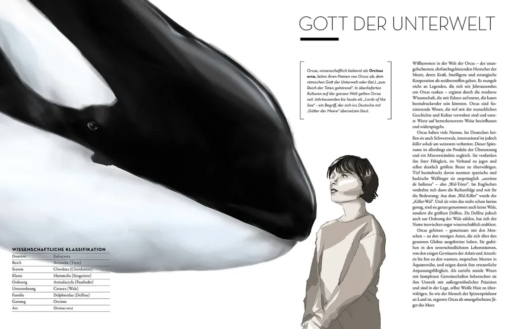 Orca