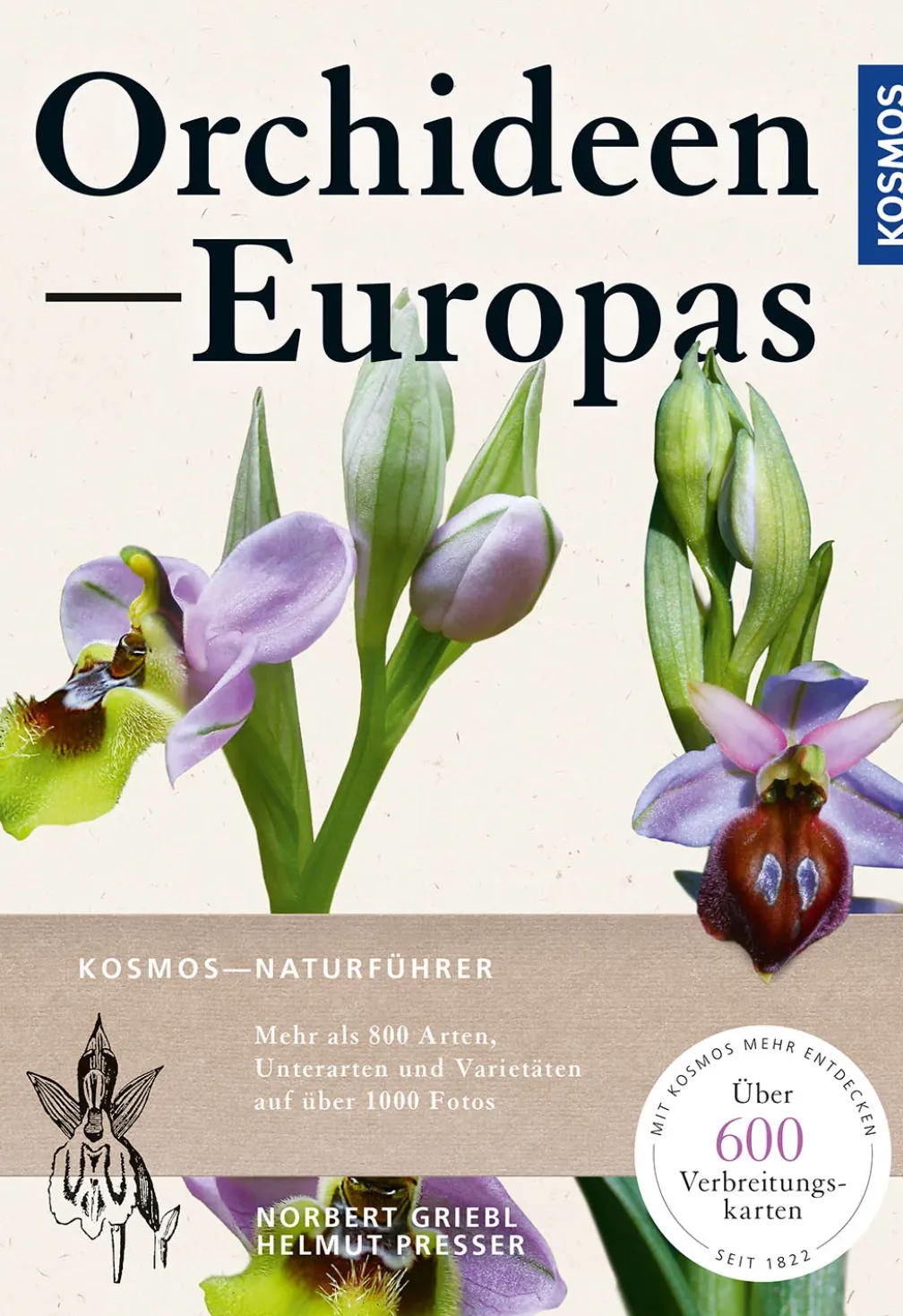 Orchideen Europas