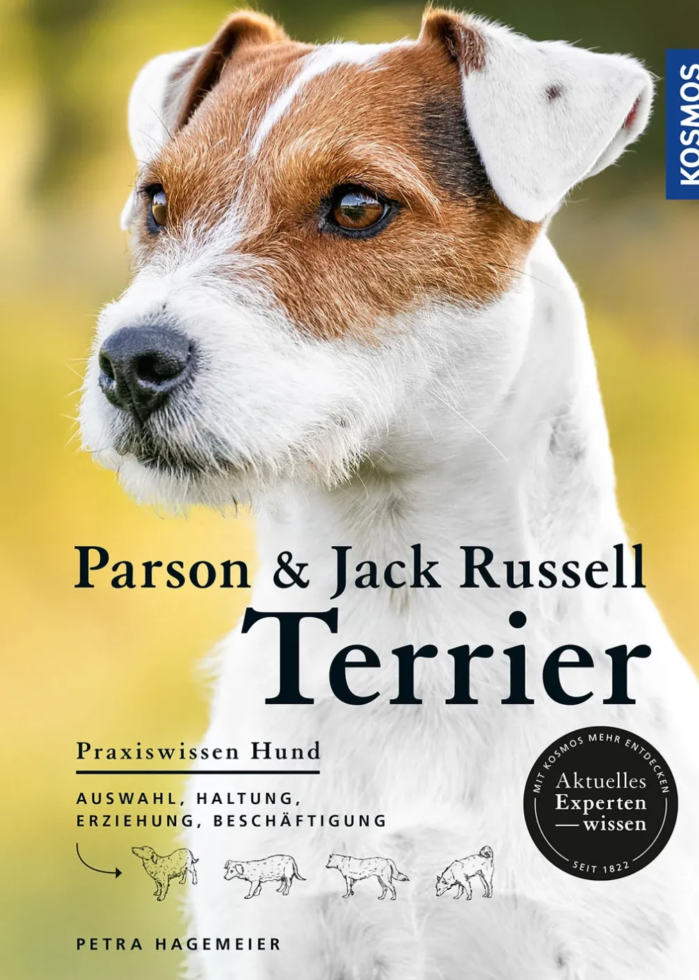 Parson und Jack Russell Terrier