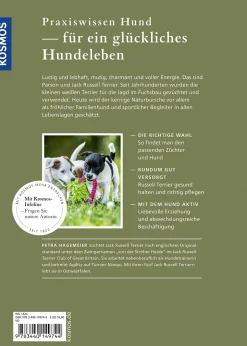 Parson und Jack Russell Terrier