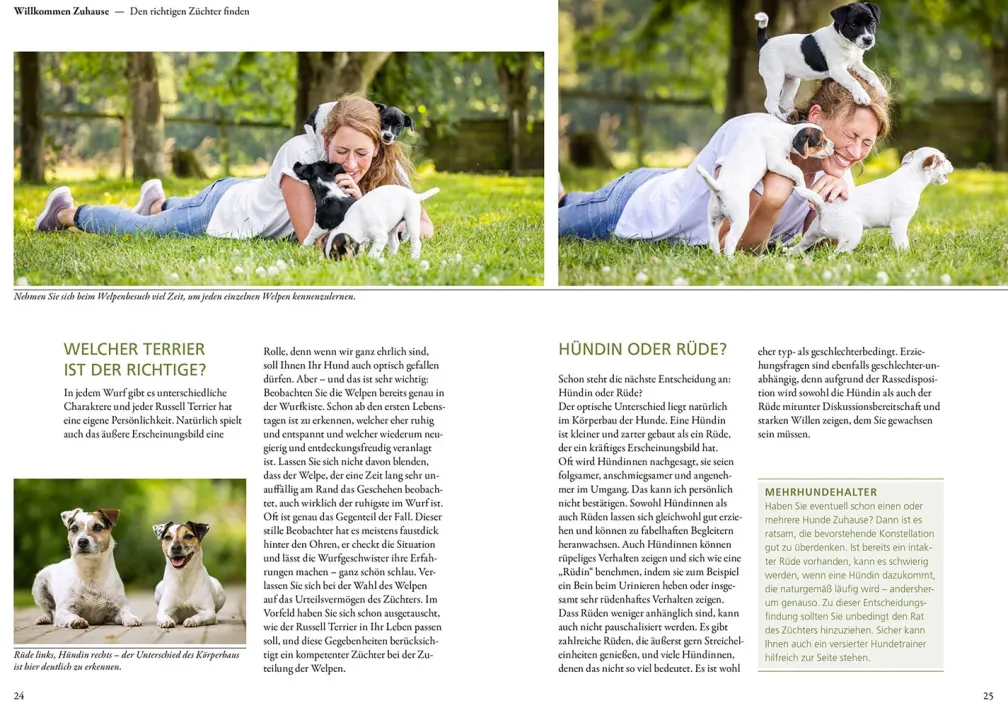 Parson und Jack Russell Terrier