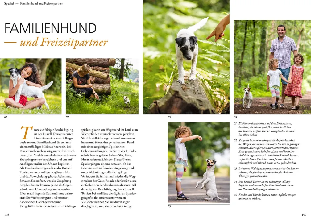 Parson und Jack Russell Terrier