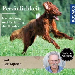 Persönlichkeit – Entwicklung und Entfaltung des Hundes