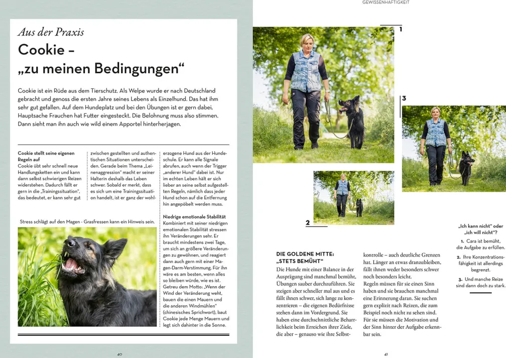 Persönlichkeitsanalyse für Hunde
