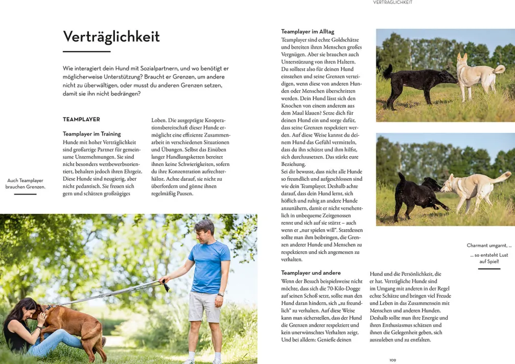 Persönlichkeitsanalyse für Hunde
