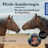 Pferde-Annäherungen: Die drei Grundstellungen der Begrüßung