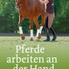 Pferde arbeiten an der Hand