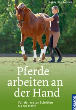 Pferde arbeiten an der Hand