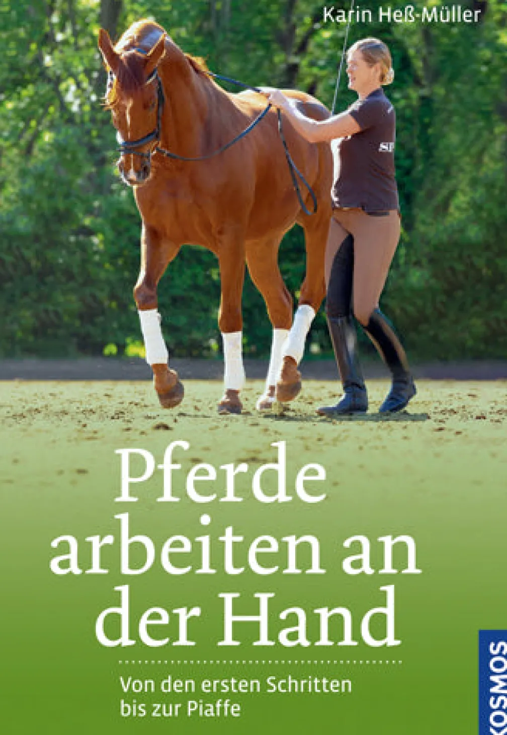 Pferde arbeiten an der Hand