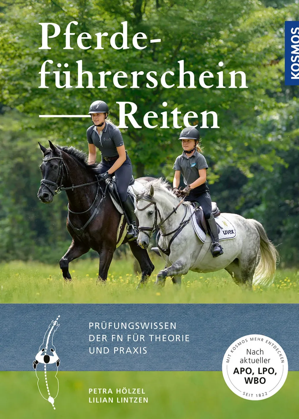Pferdeführerschein Reiten