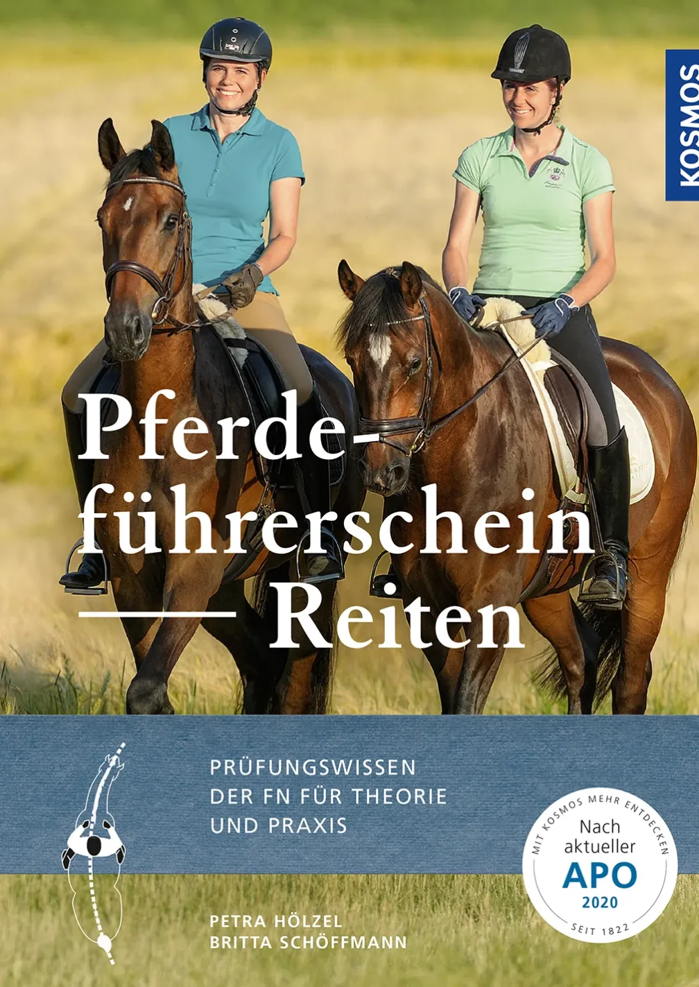 Pferdeführerschein Reiten