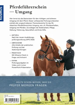 Pferdeführerschein Umgang