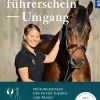 Pferdeführerschein Umgang