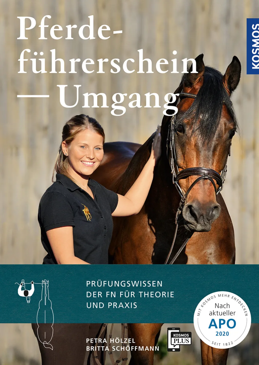 Pferdeführerschein Umgang