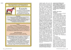Pferdehaltung und -fütterung