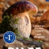 Pilze