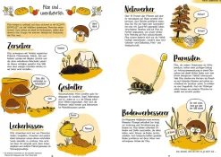 Pilze für Ahnungslose
