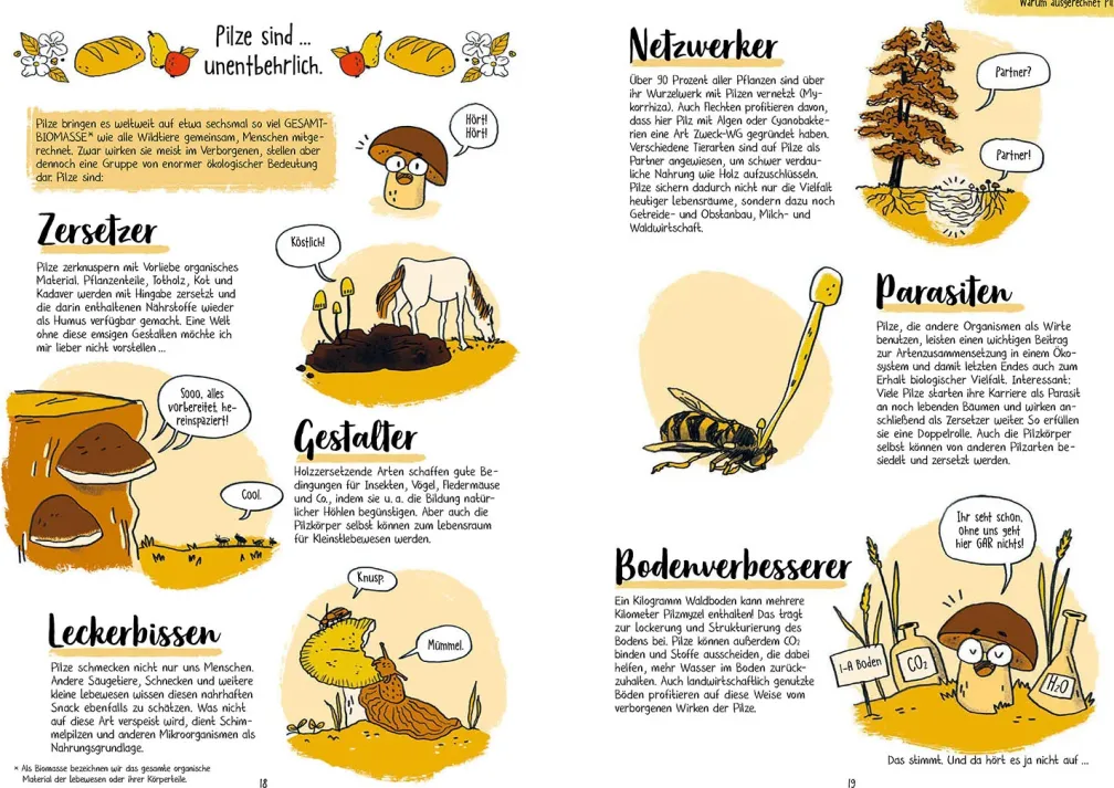 Pilze für Ahnungslose