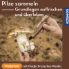 Pilze sammeln – Grundlagen auffrischen und überleben