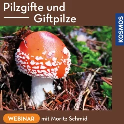 Pilzgifte und Giftpilze