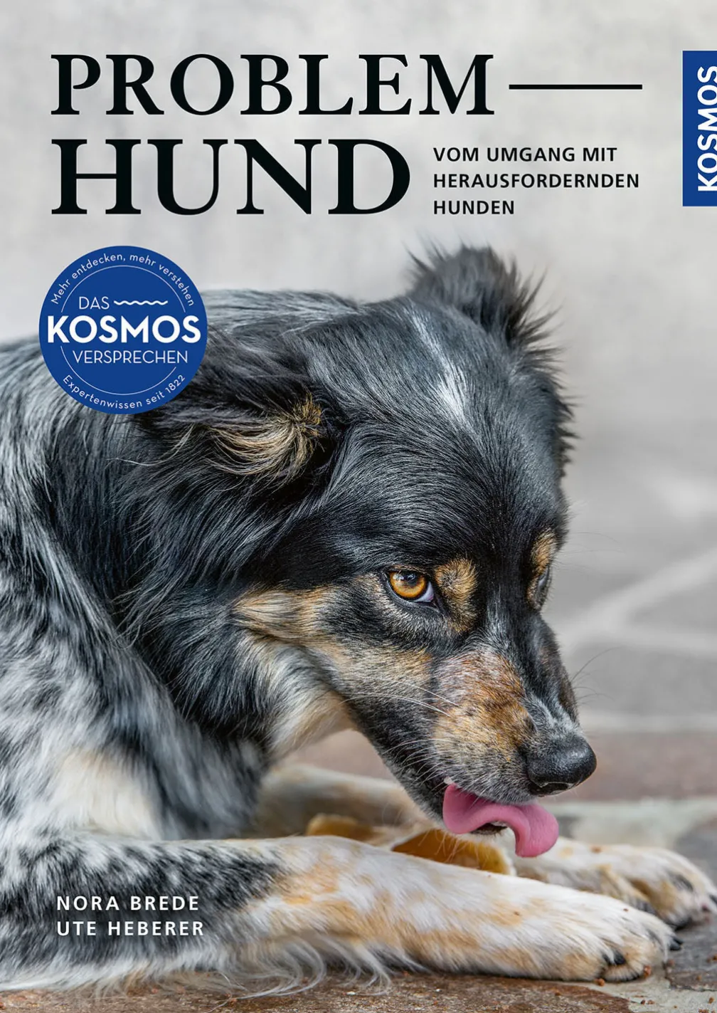 Problem Hund