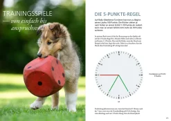 Rally Obedience