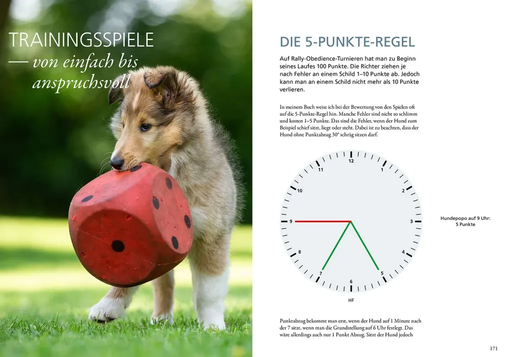 Rally Obedience