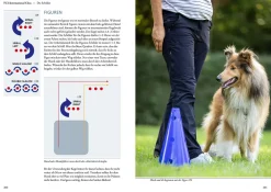 Rally Obedience