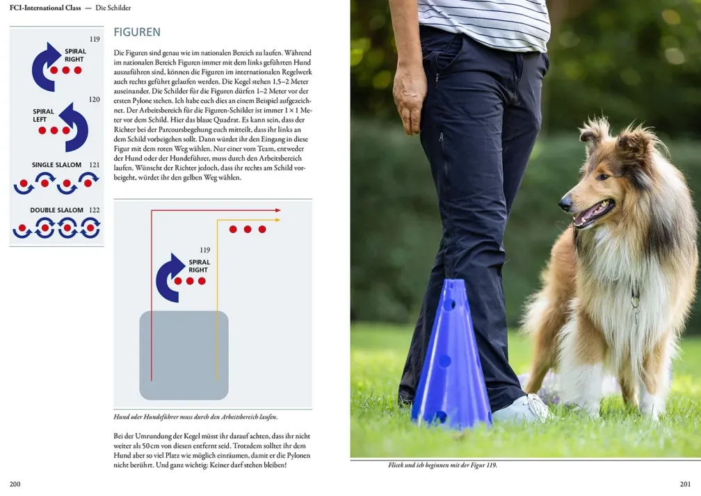 Rally Obedience