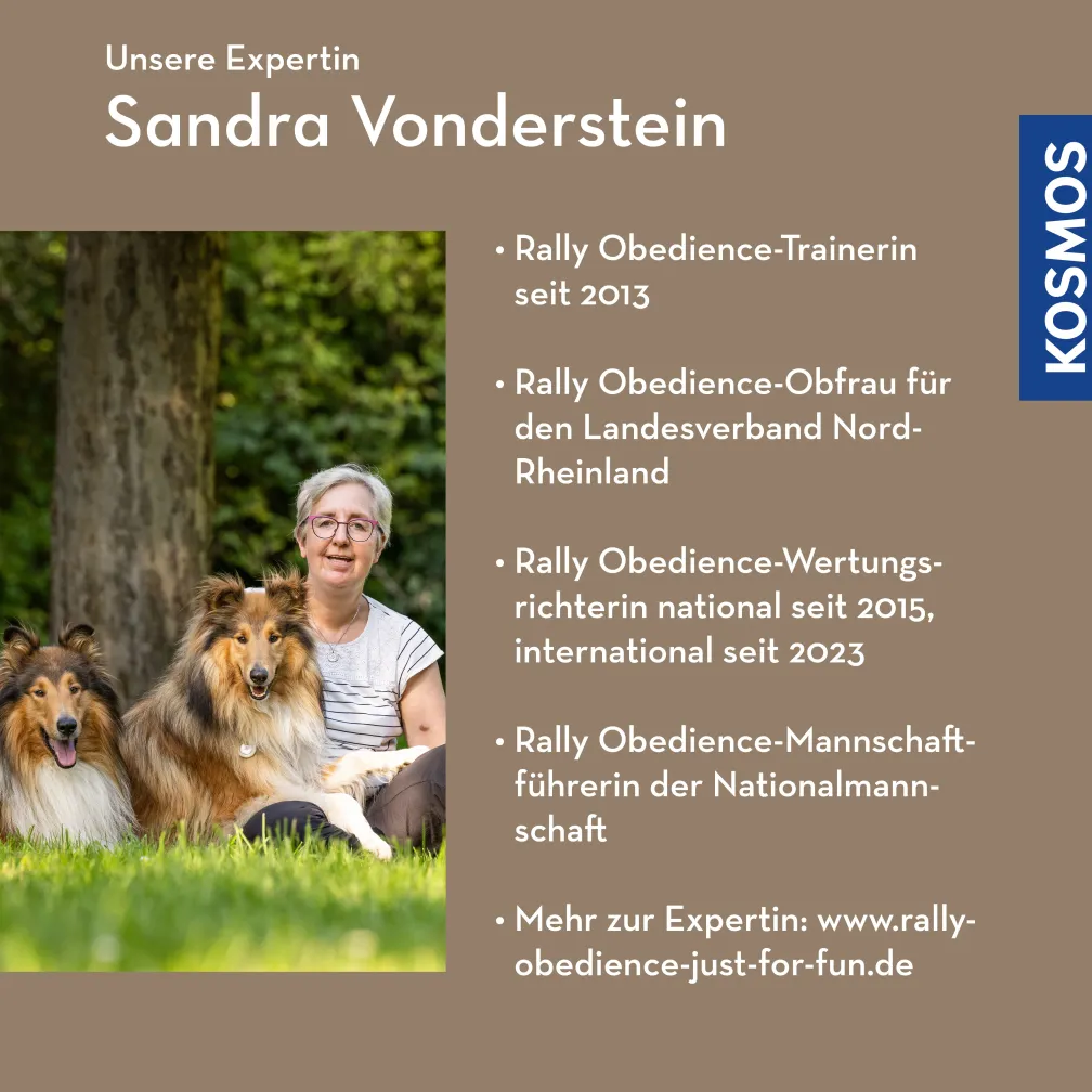 Rally Obedience – Fit für die FCI-Klasse