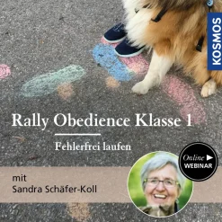 Rally Obedience Klasse 1 - Fehlerfrei laufen