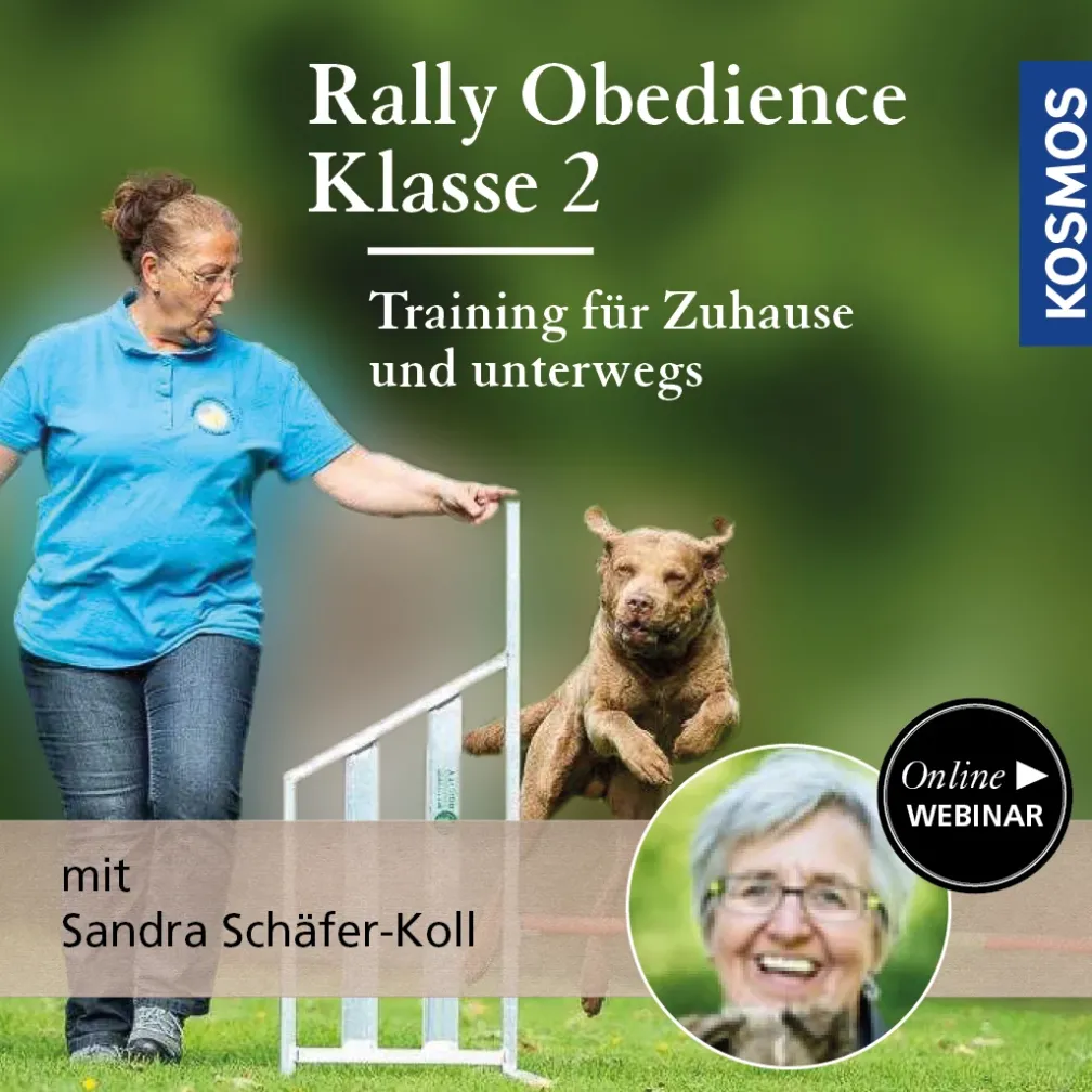 Rally Obedience Klasse 2 - Training für Zuhause und unterwegs
