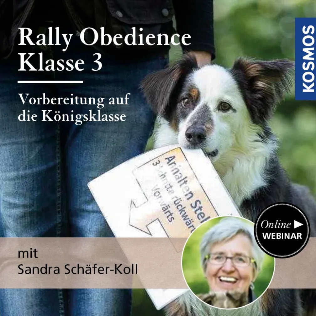 Rally Obedience Klasse 3 - Vorbereitung auf die Königsklasse