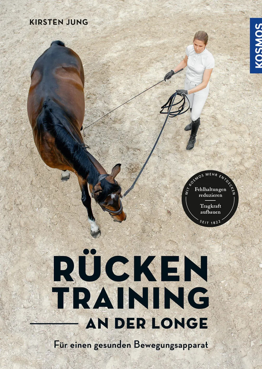 Rückentraining an der Longe