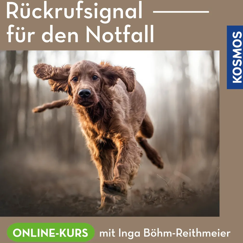 Rückrufsignale für den Notfall