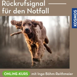 Rückrufsignale für den Notfall
