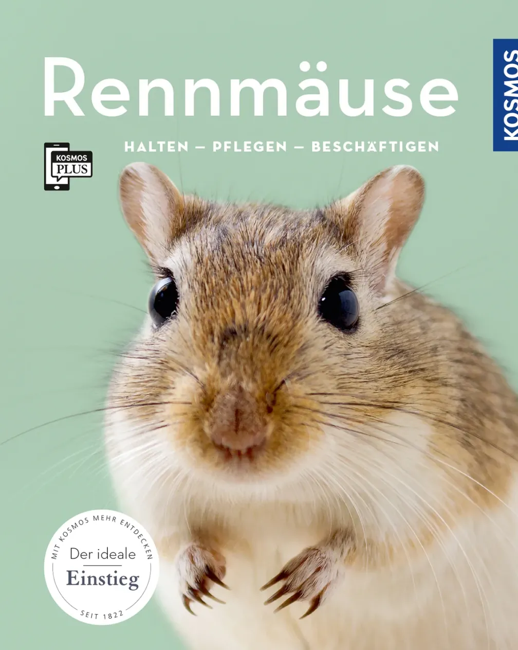 Rennmäuse