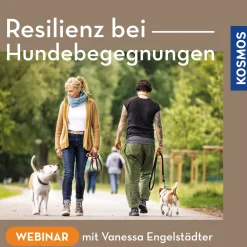 Resilienz bei Hundebegegnungen