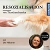 Resozialisation von Tierschutzhunden