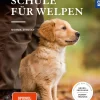 Retrieverschule für Welpen
