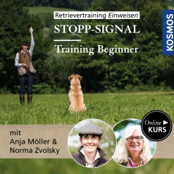 Retrievertraining Einweisen – Training Beginner Stopp-Signal