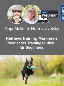 Retrievertraining Markieren – Praktischer Trainingsaufbau für Beginners