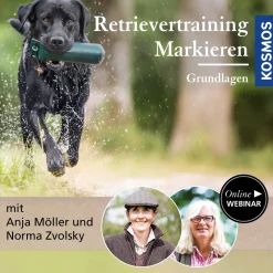 Retrievertraining Markieren – Grundlagen