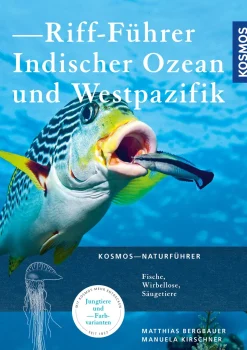 Riff-Führer Indischer Ozean und Westpazifik