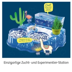 Salzkrebse