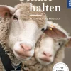 Schafe halten