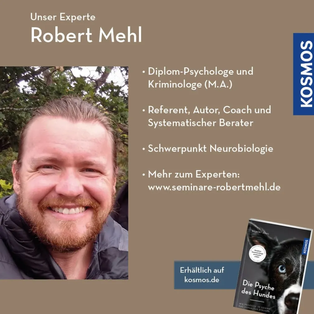 Schlaf und Ruhe aus neurobiologischer Sicht