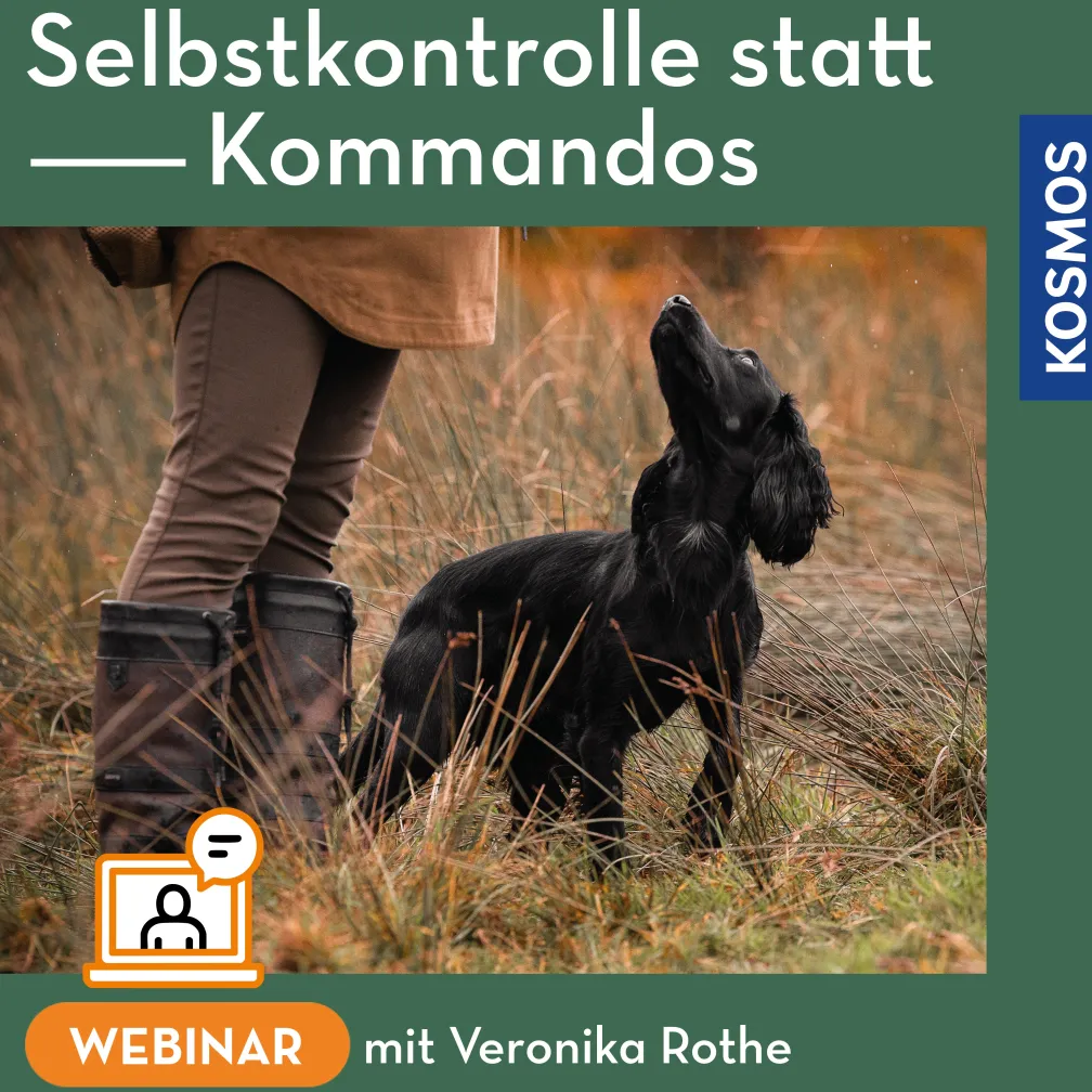 Selbstkontrolle statt Kommandos