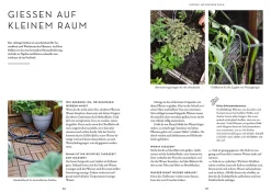 Selbstversorgung aus dem Balkon-Hochbeet